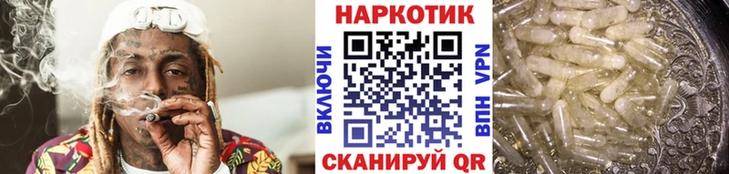 Наркошоп купить MDMA  Псилоцибиновые грибы  Меф  Канабис  COCAIN  Гашиш  Таштагол