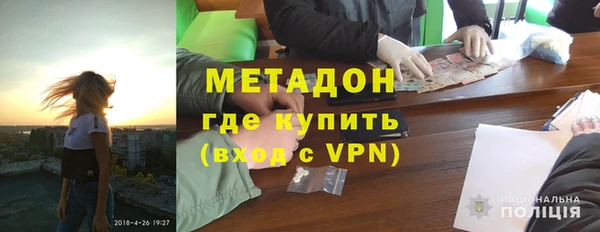 прущие грибы Заводоуковск