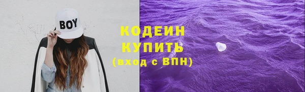 прущие грибы Заводоуковск