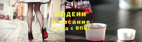 прущие грибы Заводоуковск