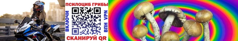 Купить  Таштагол  Галлюциногенные грибы MAGIC MUSHROOMS 